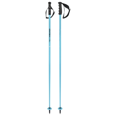 Štap HEAD SKI WC SL