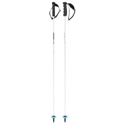 Štap HEAD SKI WCR REBELS
