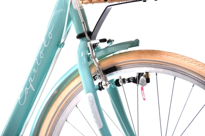 CAPRIOLO DIANA CITY 28'/6HT TI