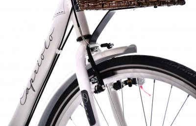 CAPRIOLO DIANA CITY 28' BE/SIV