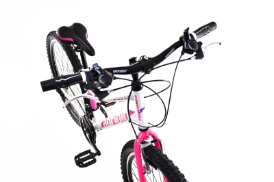 CAPRIOLO DIAVOLO 600/18HT BE-P