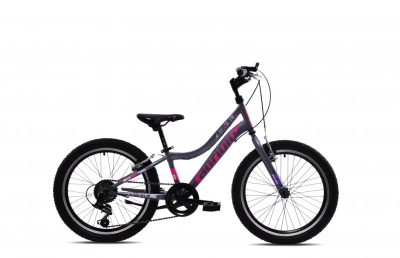 Dečiji bicikl CAPRIOLO DIAVOLO 200/6HT si-lj/20'