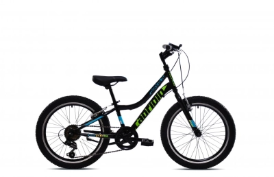 Dečiji bicikl CAPRIOLO DIAVOLO 200/6HT CR-ZE/20'