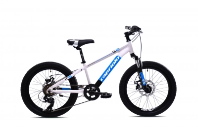 CAPRIOLO LC 200 20'/6AL sivo