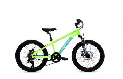 Dečiji bicikl CAPRIOLO LC 200 20'/6AL zeleni/20'