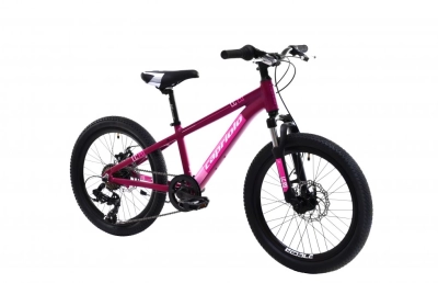 CAPRIOLO LC 200 20'/6AL ljubič