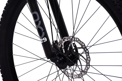 CAPRIOLO OXYGEN 29'/21HT CR/PL